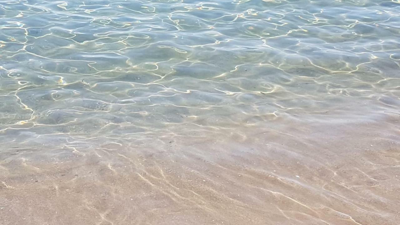Camping Nuovo Massa Kültér fotó